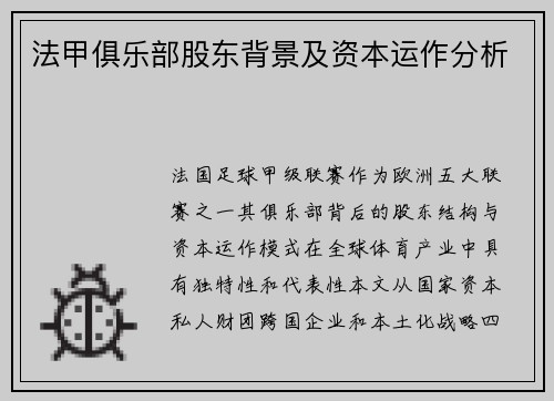 法甲俱乐部股东背景及资本运作分析