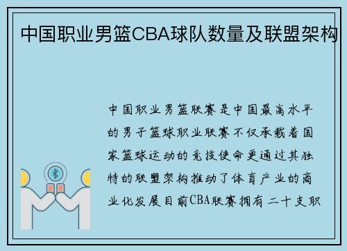 中国职业男篮CBA球队数量及联盟架构