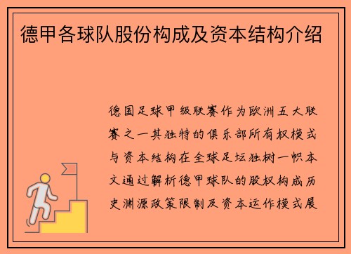 德甲各球队股份构成及资本结构介绍