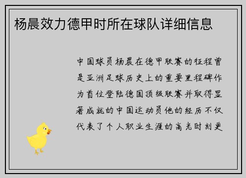 杨晨效力德甲时所在球队详细信息
